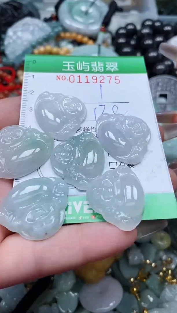 翡翠未镶嵌颈饰闪购0119275多样性发其一