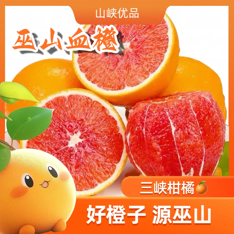 4.5/9斤巫山中华红橙血橙红肉脐橙新鲜水果脆嫩香甜