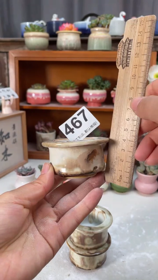 瓷片467小芳直播编号