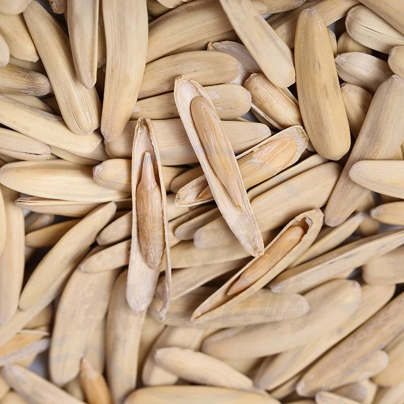 【净重新货】牙签瓜子五香味阿克苏月牙瓜子新货香脆长瓜子食125g