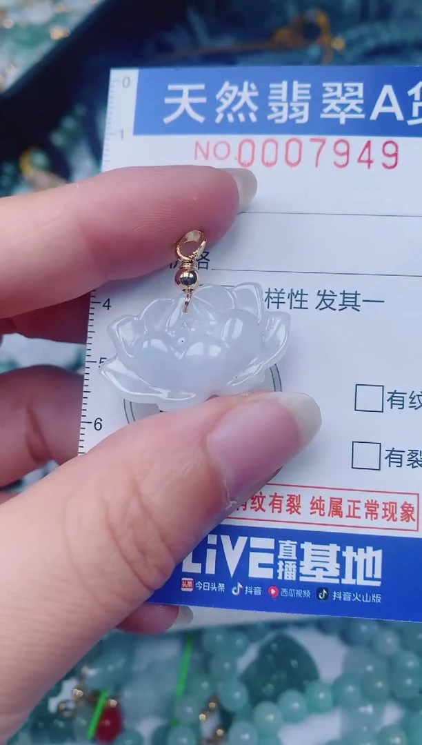 颈饰未镶嵌翡翠00007949