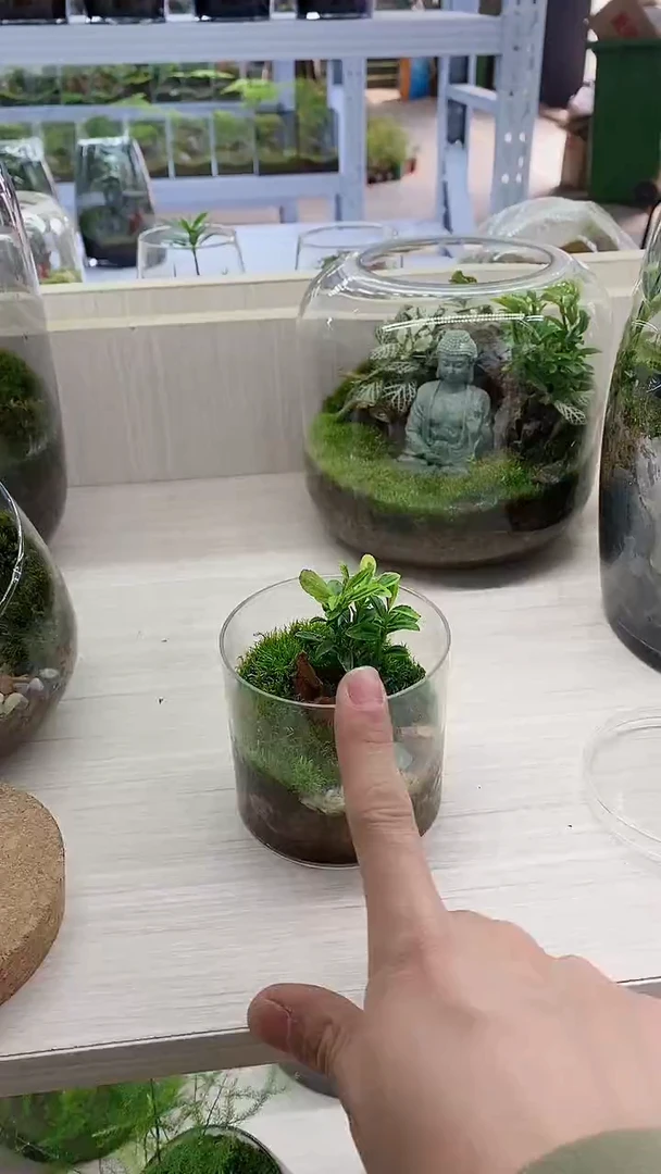 亚克力小圆盒微景观