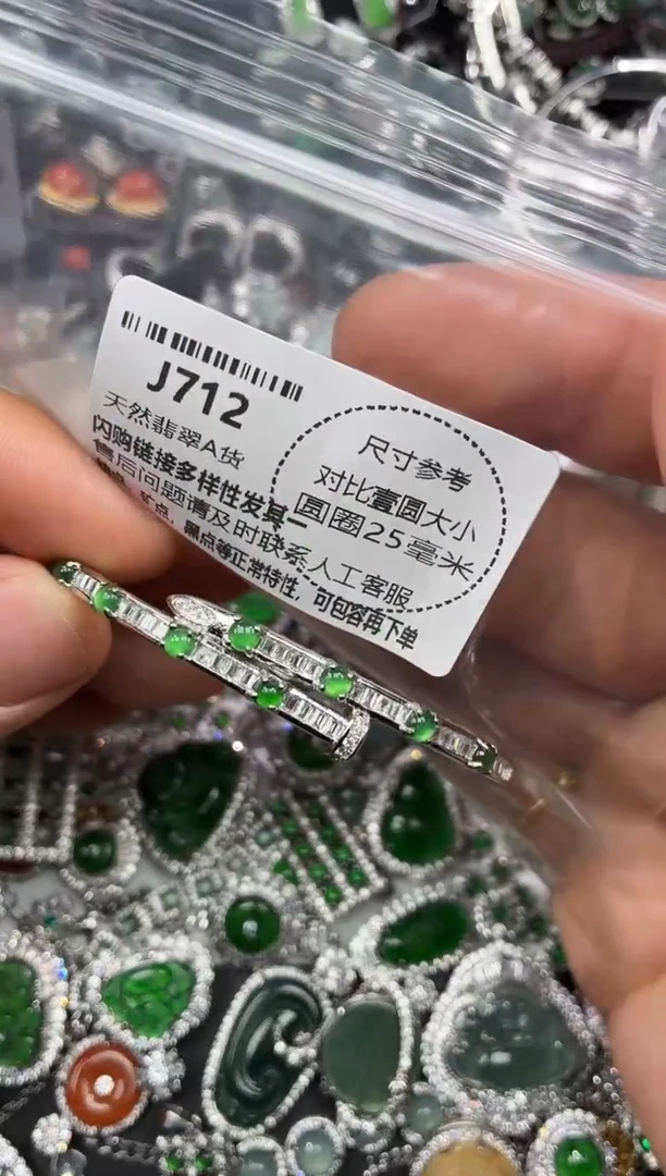 颈饰未镶嵌翡翠J712手镯