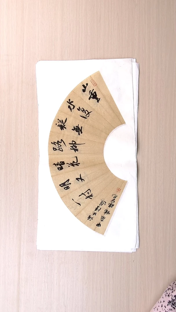 书法杨瑞宽 河南南阳68*34 扇面