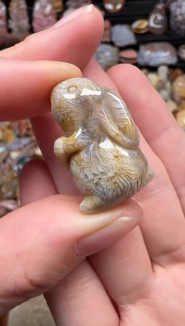 颈饰未镶嵌硅化珊瑚（珊瑚玉）541