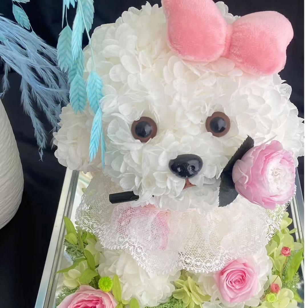 永生花真花告白马尔济斯狗狗送女朋友闺蜜老婆孩子生日节日礼物
