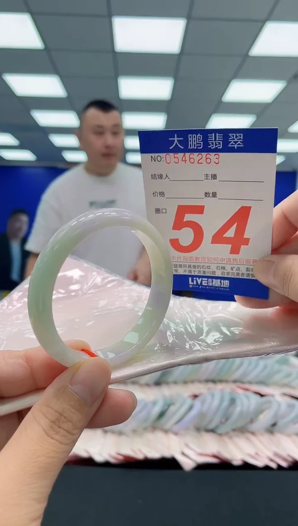 未镶嵌手镯翡翠AAAAAAAAA