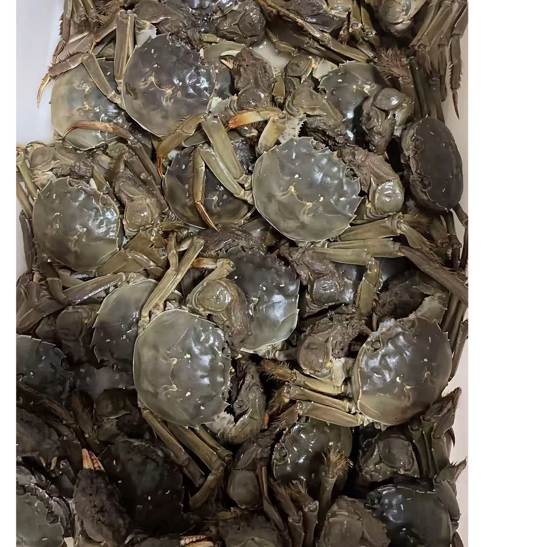 【活蟹】江苏残大闸蟹 公4.0-4.3两母3.0-3.3两 7-9只顺丰发货