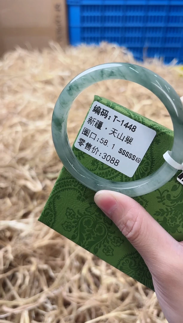 未镶嵌手镯石英质玉T-1448