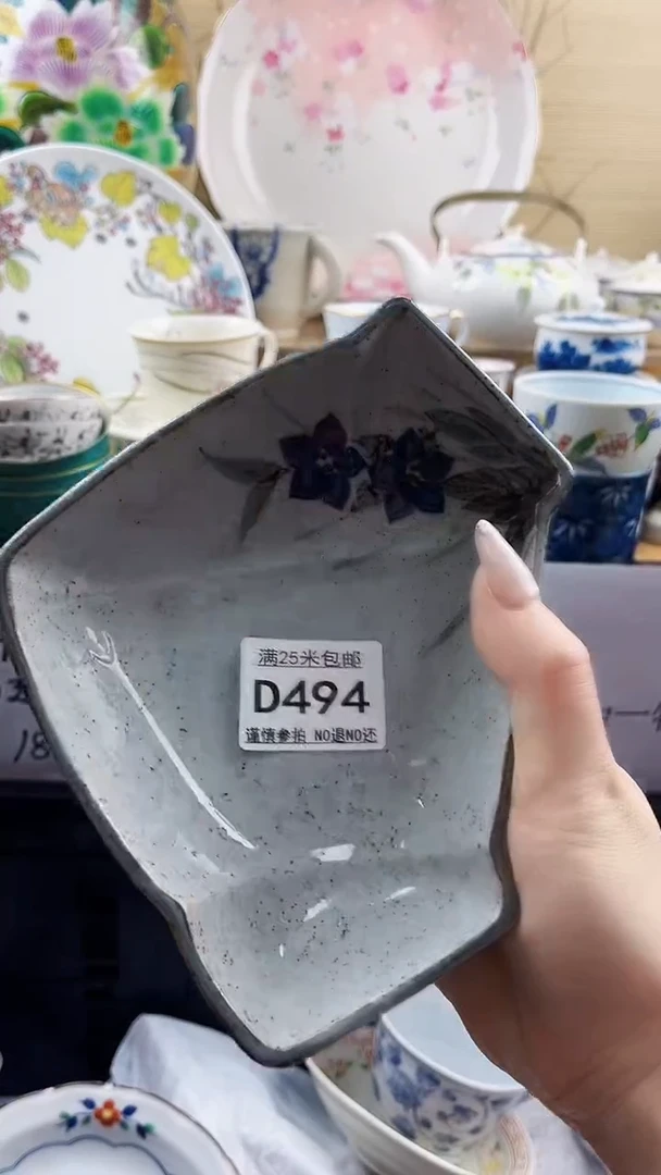 ==============d494