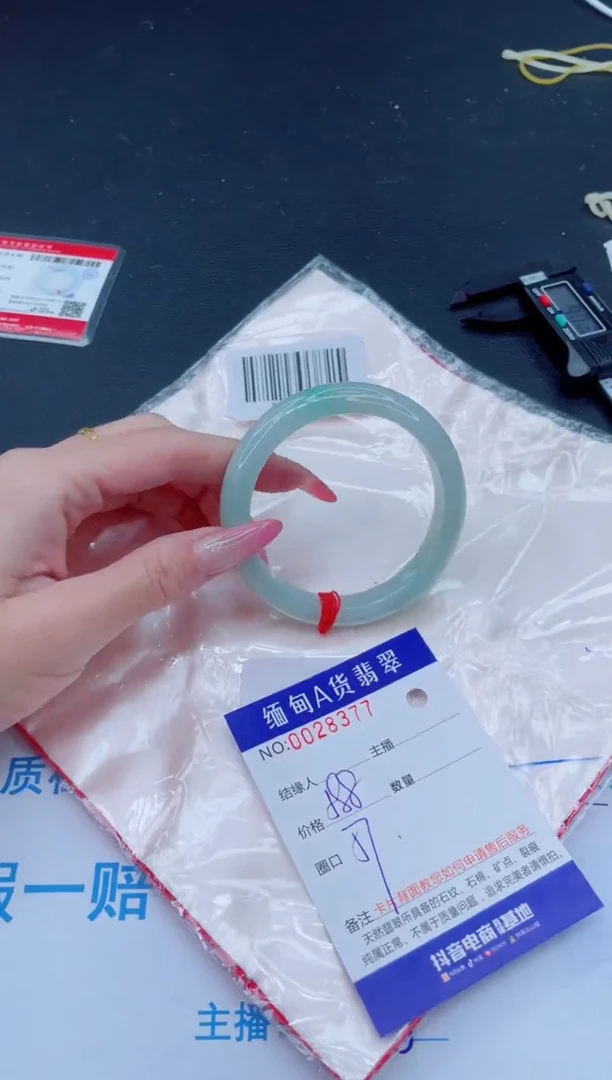 未镶嵌手镯翡翠588.00