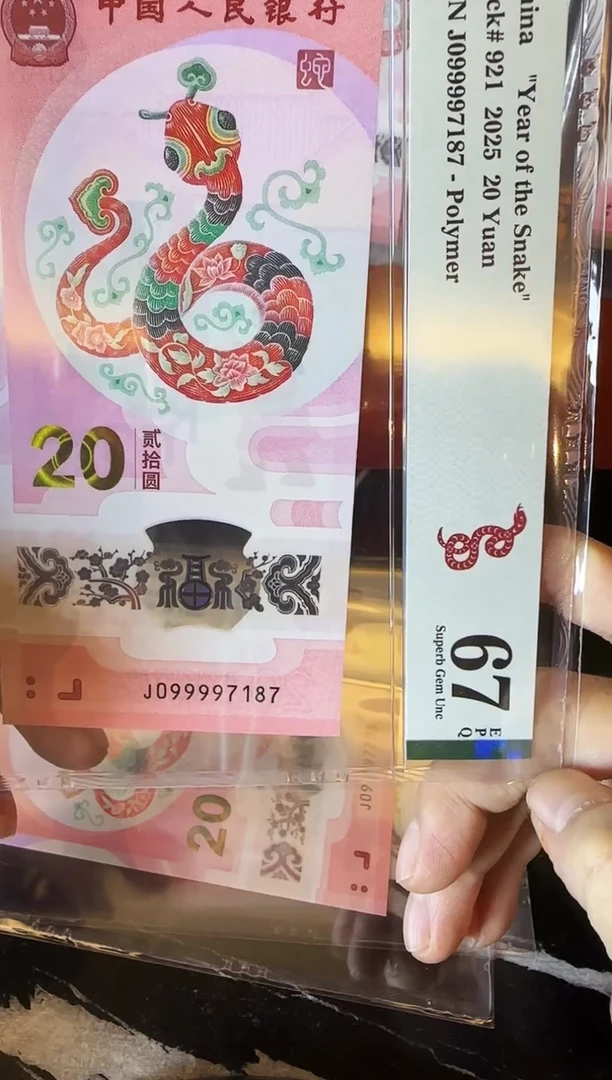 塑料2025 蛇钞  单张  099997187