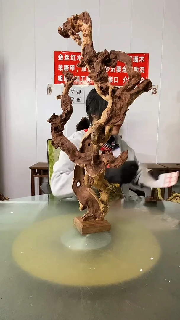 木用****4金丝红木  羊蹄甲