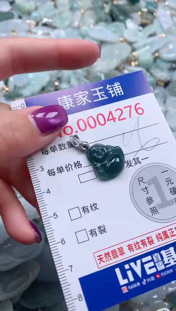 颈饰未镶嵌翡翠4276