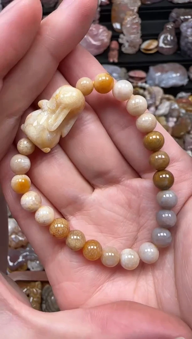 颈饰未镶嵌硅化珊瑚（珊瑚玉）693