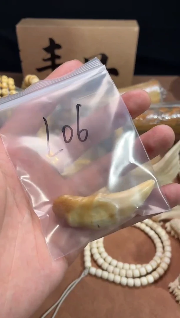 骆驼牙手串/手链旧*L06 骆驼牙