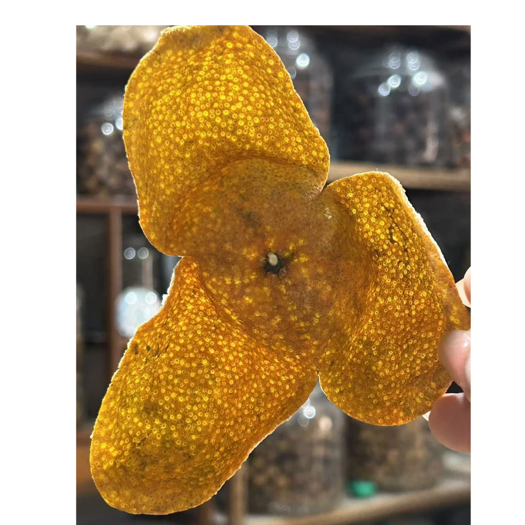 冬后大红皮 2024年梅江老树圈枝