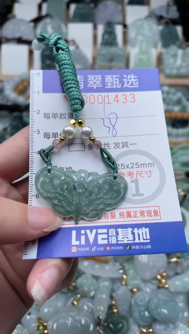 翡翠未镶嵌颈饰00..1433