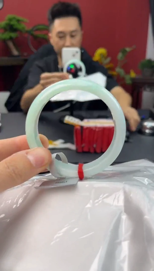 未镶嵌手镯翡翠3