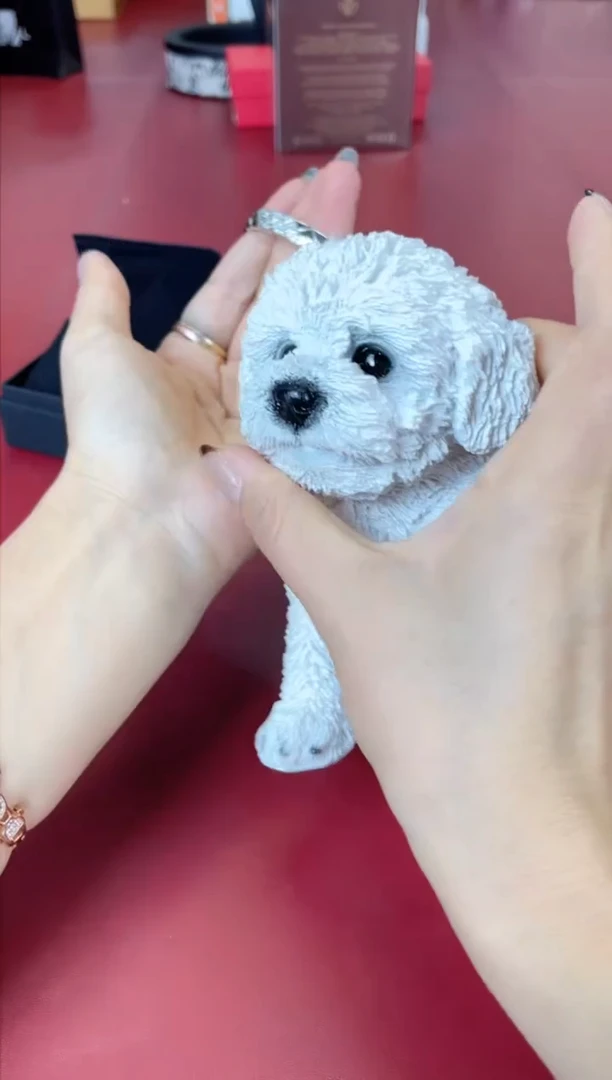 瓷片别算了真划算@@XQ1922