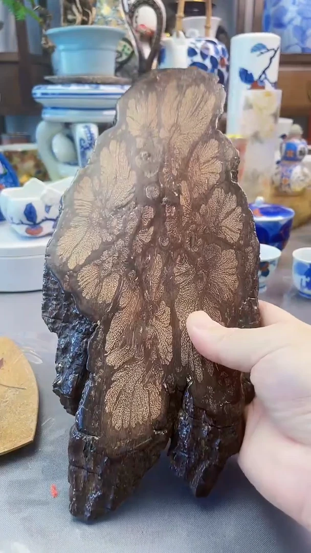 瓷片日产樱皮干泡台