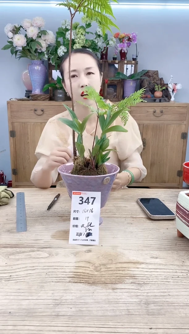 小玩子花盆直播号347