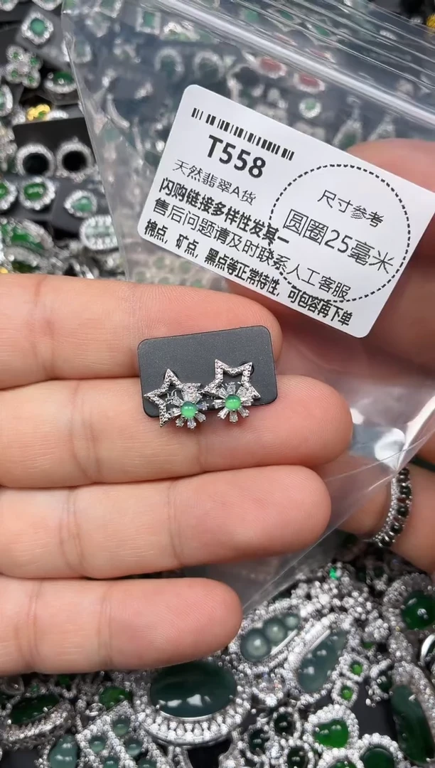 翡翠未镶嵌颈饰T558耳钉
