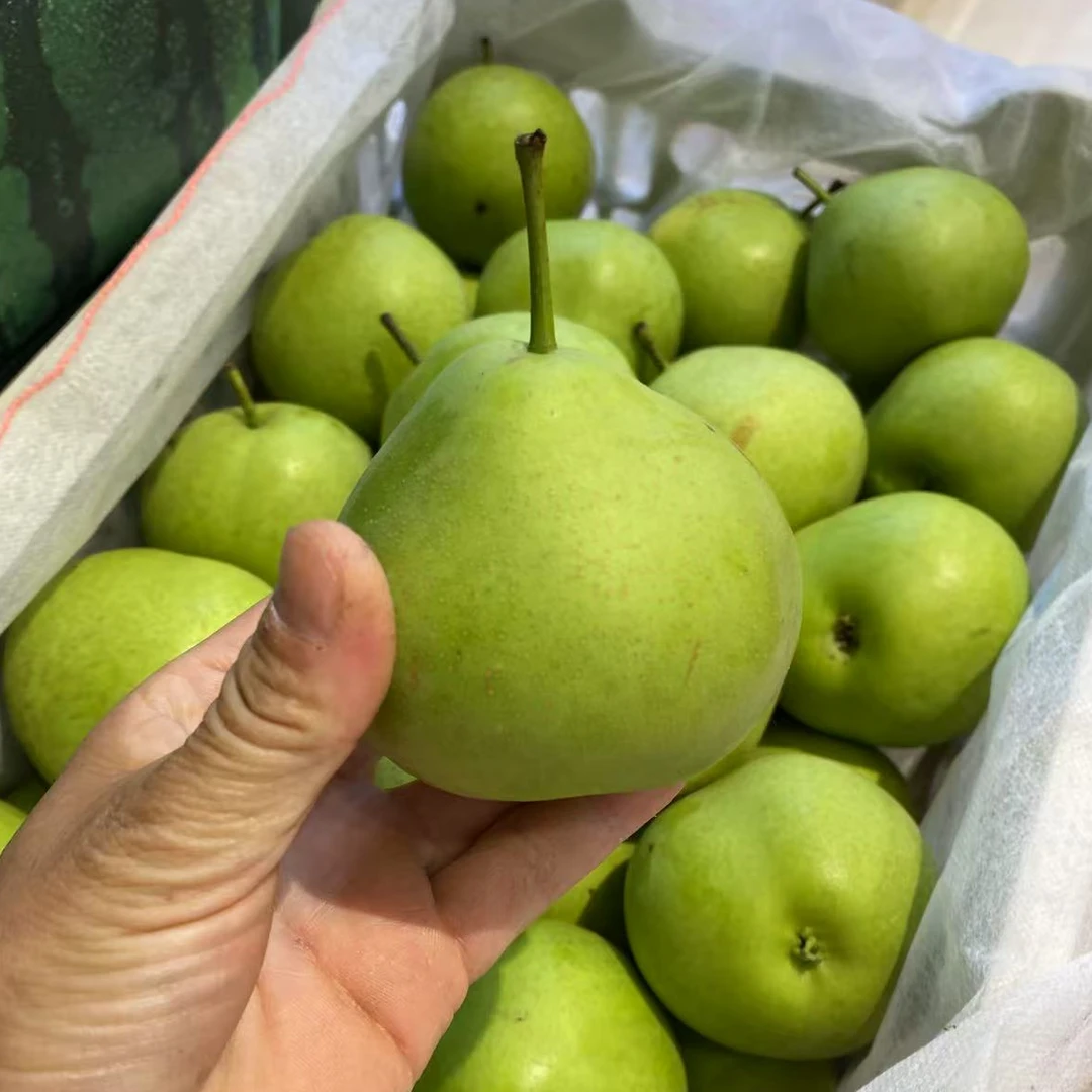 翠玉梨2斤口感好