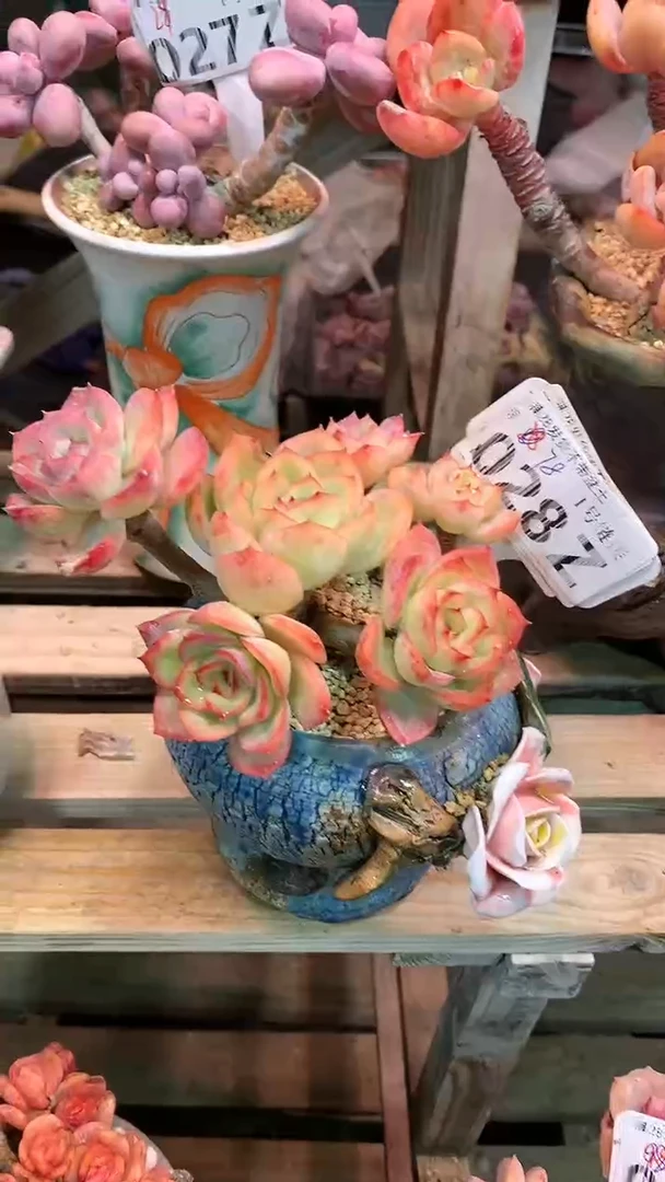 【闪购商品】028ZZZ