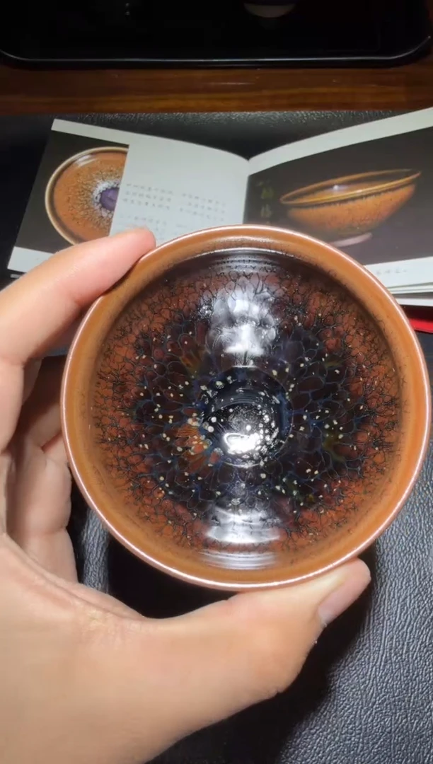 茶盏朱信丛鹧鸪羽19