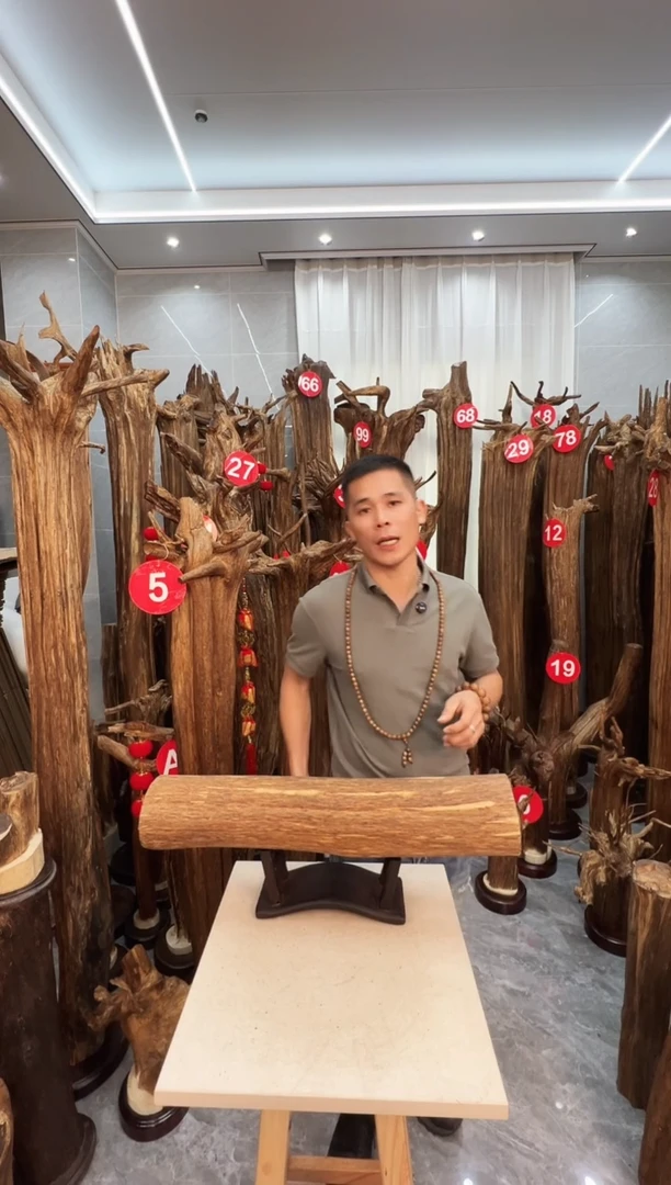 沉香沉香碎屑沉香原料