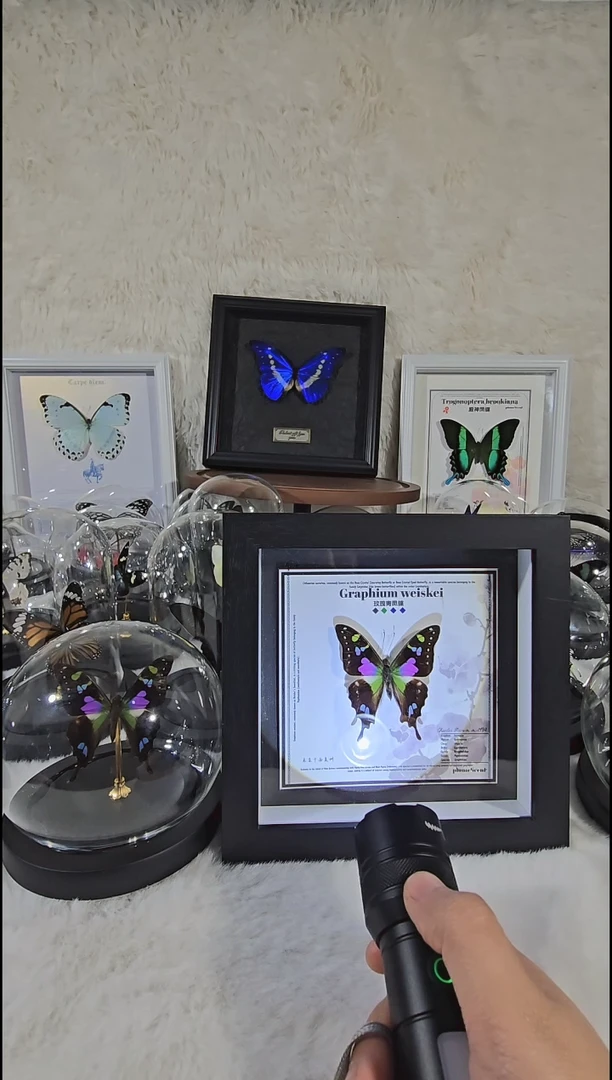 玫瑰青凤xu新款相框