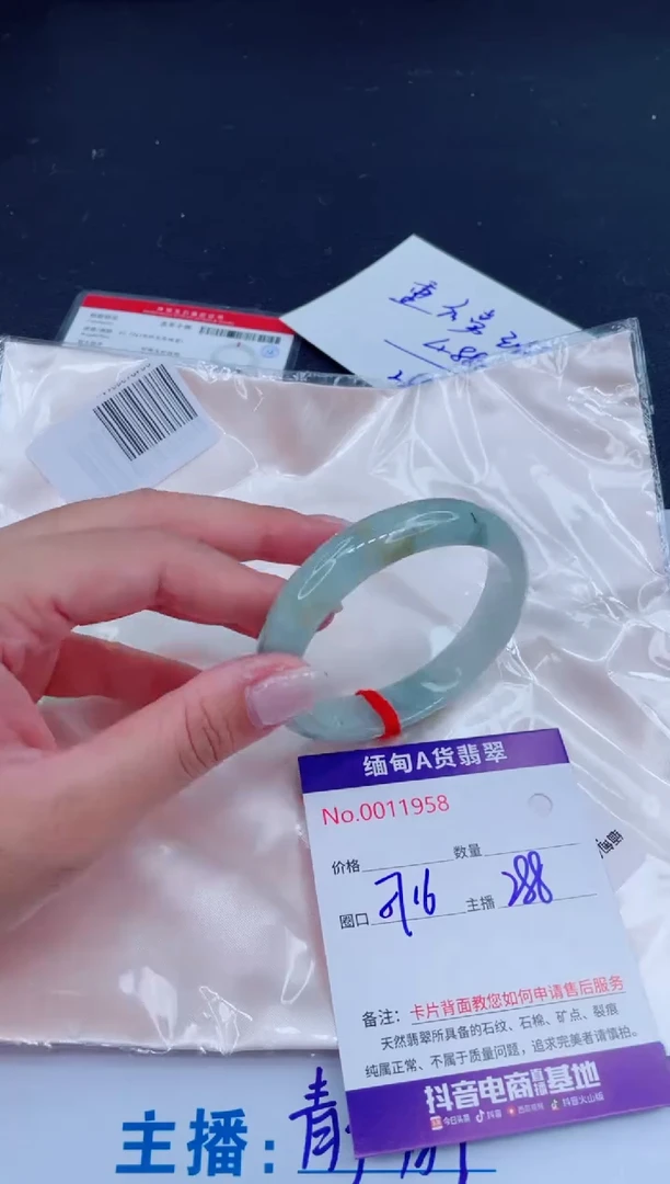 未镶嵌手镯翡翠288