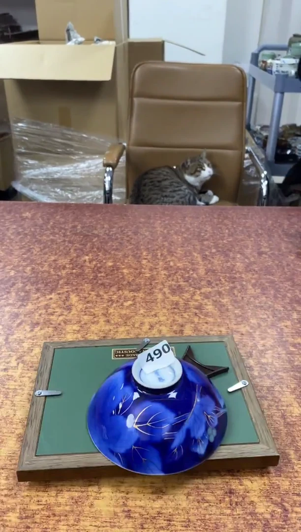 瓷片490小林轩欢迎您