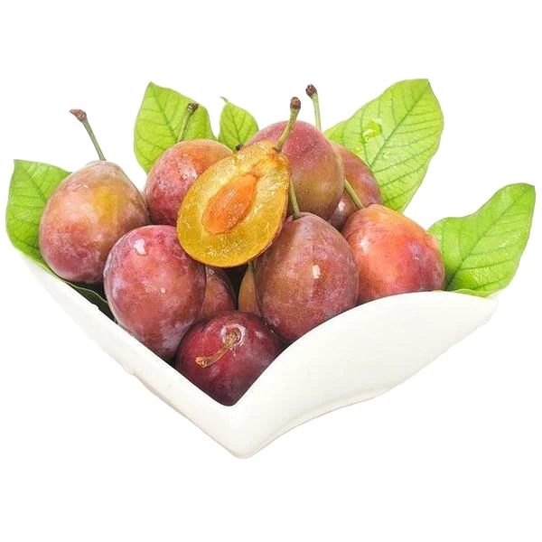 【周谷堆自营】智利西梅单J净重5斤颗颗饱满酸甜多汁软糯细腻（14）