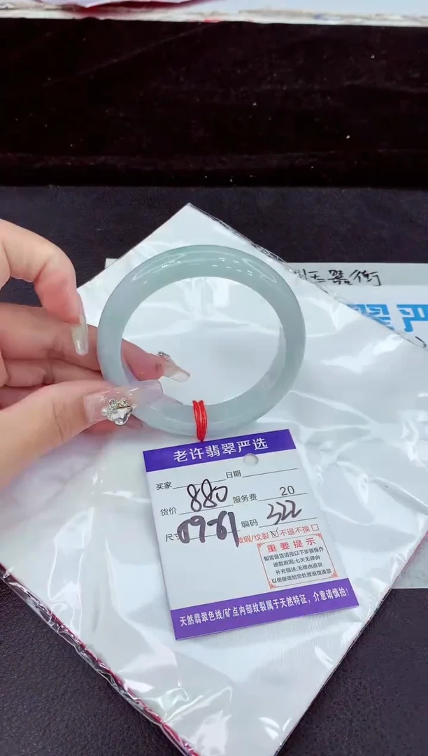 未镶嵌手镯翡翠1