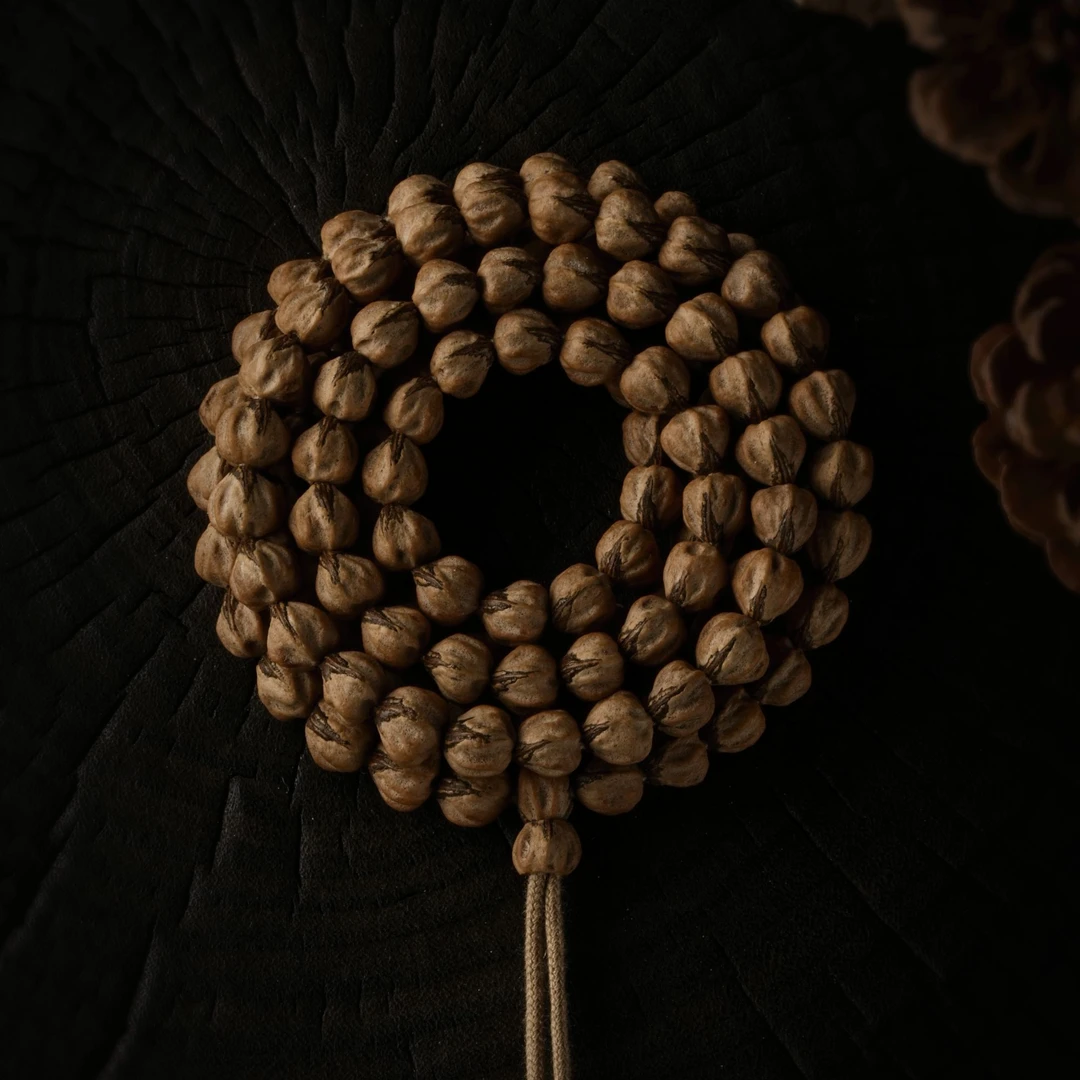 柏香籽/百香籽（编号 E05） 天然文玩尺寸 5-6