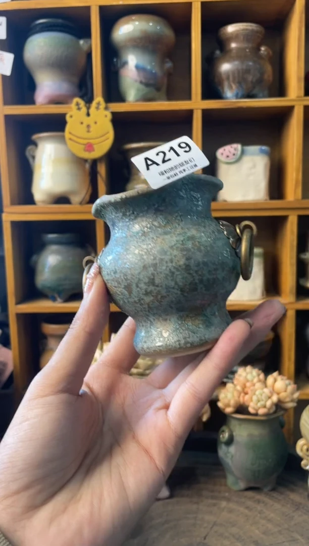 219内口5【多肉花盆多肉盆】