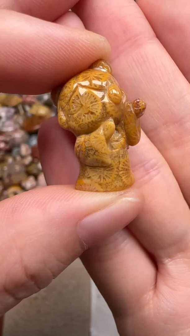 硅化珊瑚（珊瑚玉）未镶嵌颈饰452