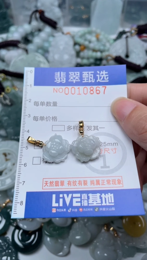 颈饰未镶嵌翡翠10867