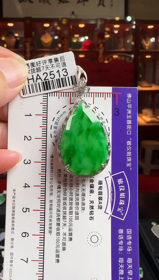 翡翠18K金镶嵌颈饰HA2513冰绿滴水