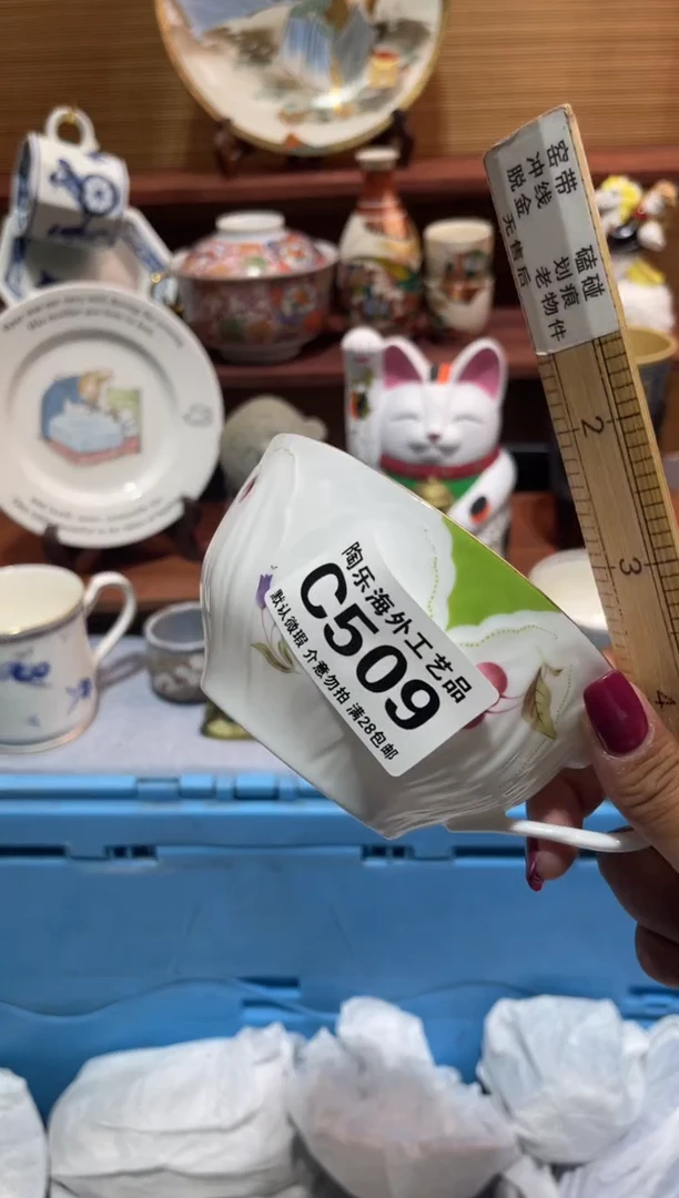 瓷片艾*娅              C509