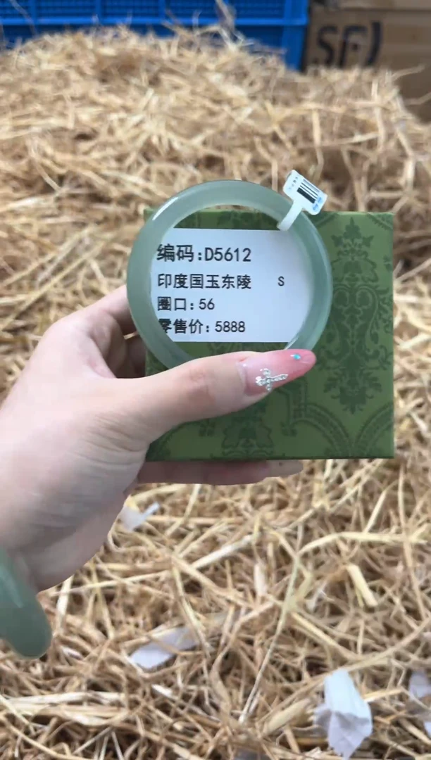 未镶嵌手镯石英质玉D5612