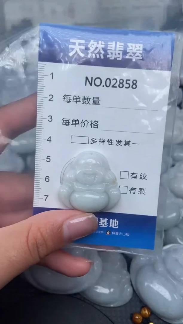 颈饰未镶嵌翡翠纯天然A货翡翠2858