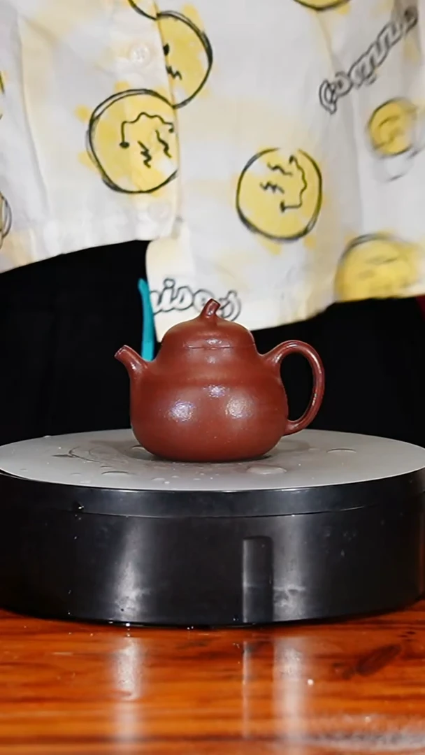 宜兴原矿紫砂壶茶壶150C