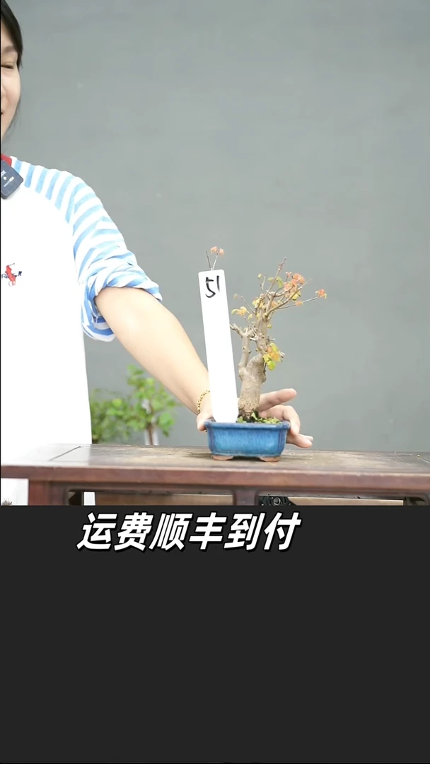 林**哥50