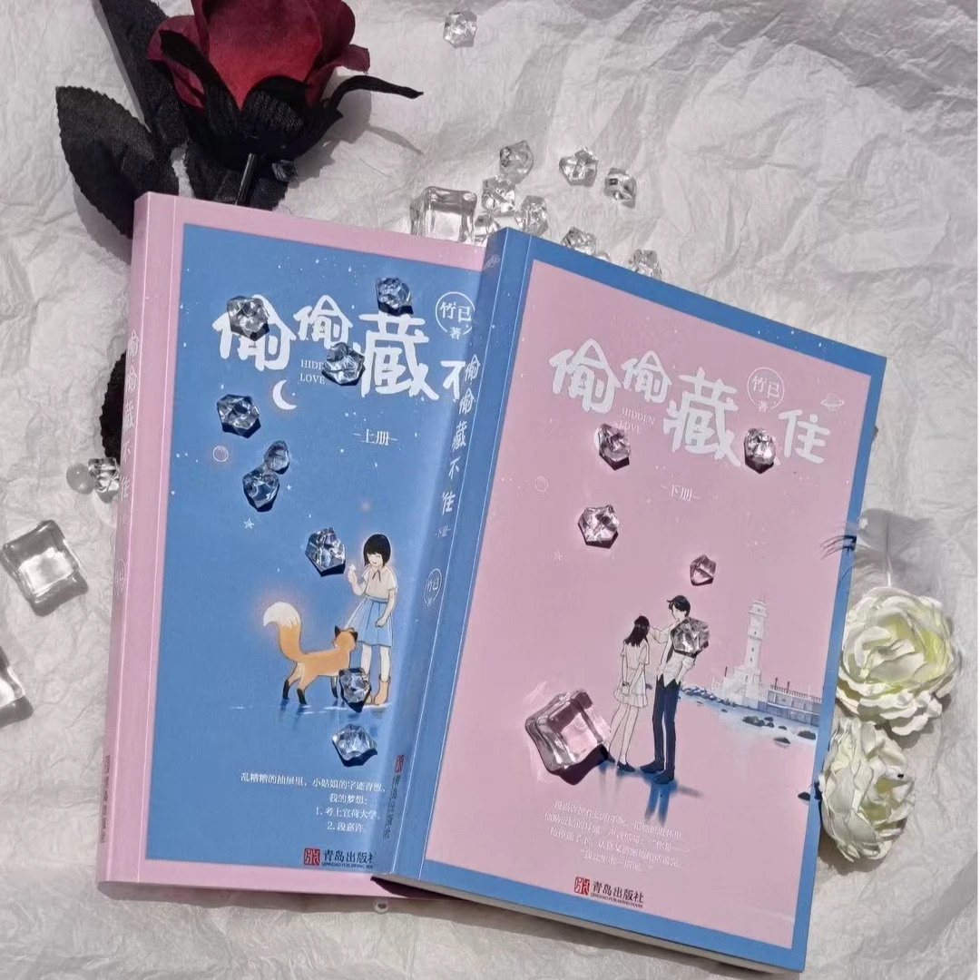 《偷偷藏不住》全两册无书衣背面有打孔 瑕疵书