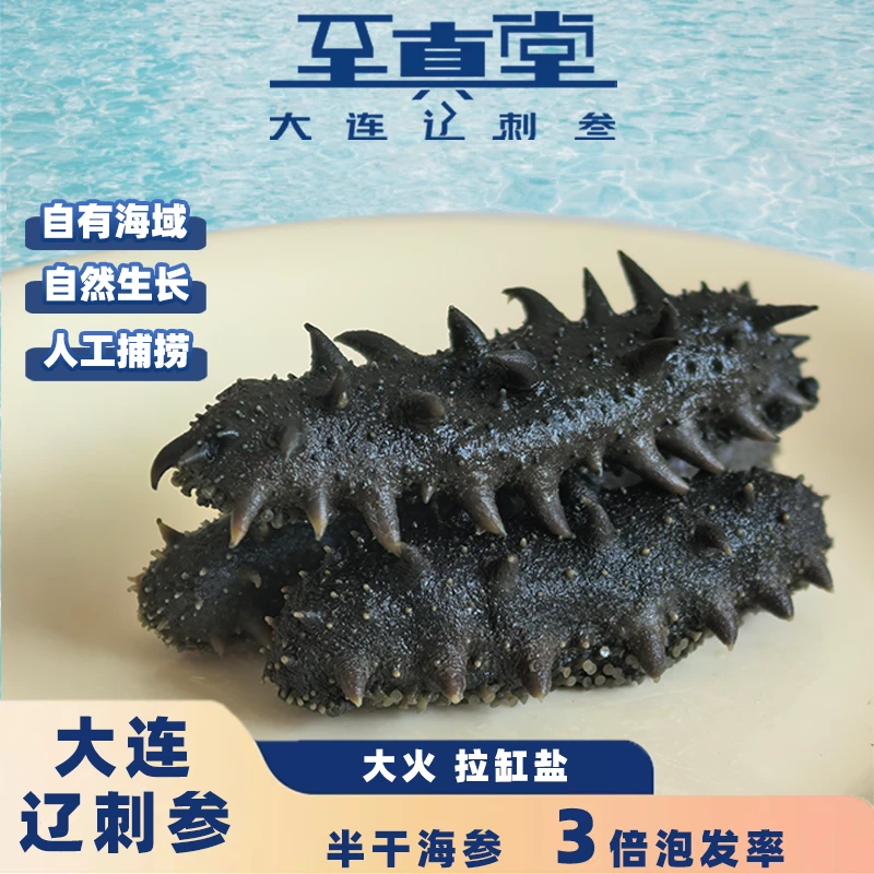 半干海参头茬秋参半干海参拉缸盐滋补海参正宗辽大连海参辽刺参