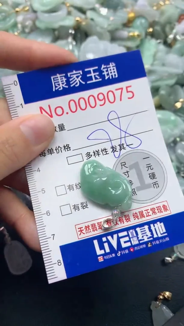 颈饰未镶嵌翡翠9075