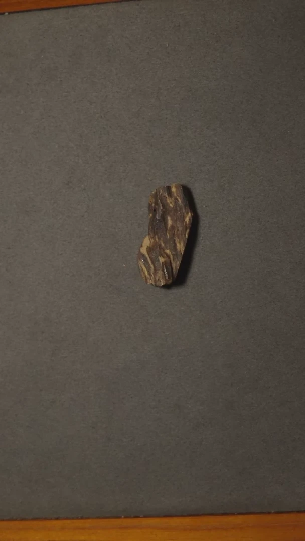 吊坠沉香随形芽庄沉水白棋3.8克